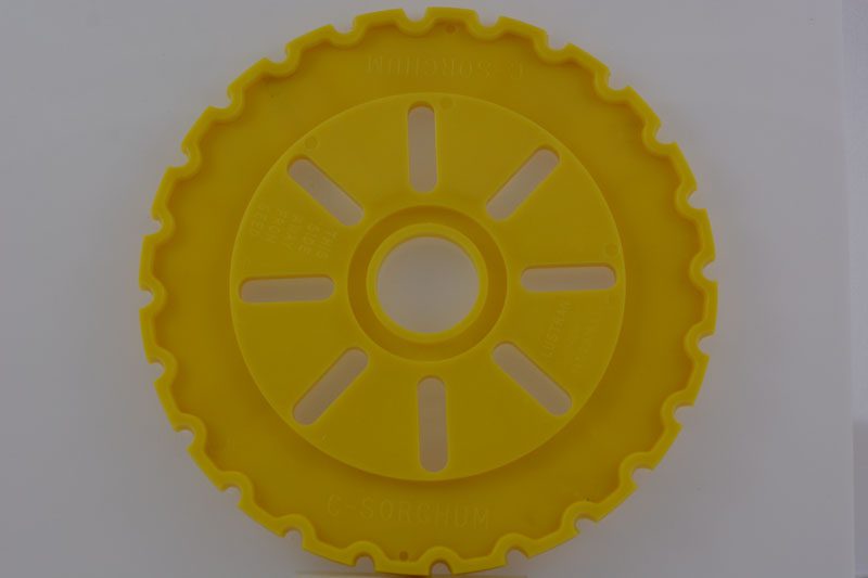 C-SORG - Image 2